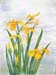 Bild67