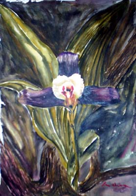 Orquídea - acuarela